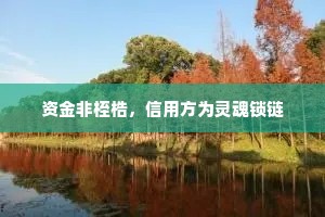 资金非桎梏，信用方为灵魂锁链