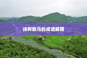 讳树数马的成语解释