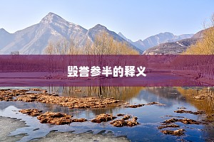 毁誉参半的释义