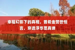 酒坐微酣诸客倒，球场慢拨几人随。的意思及出处
