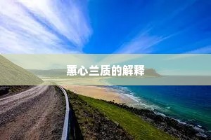 蕙心兰质的解释