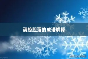 壮发冲冠的成语解释