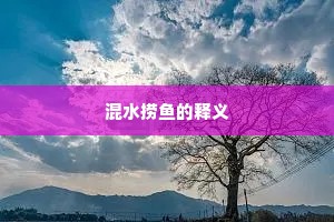 混水捞鱼的释义