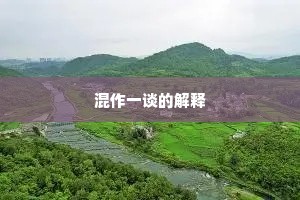 混作一谈的解释