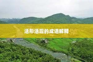活形活现的成语解释