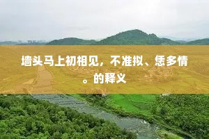 鸟道未知山足雨，渔家已没镜中云。的释义