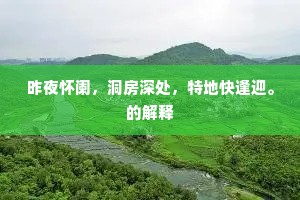 追欢买笑的解释