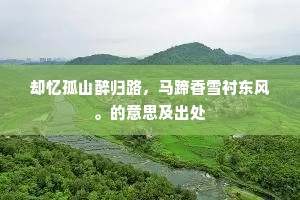 珍重主人意勤腆，满槃角黍细包金。出自哪首诗？