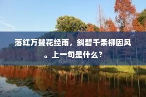 椎髻布衣的解释