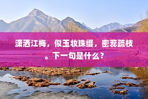 流年一日复一日，世事何时是了时。的释义