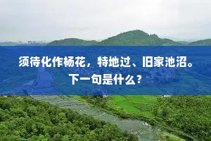 竹林啼鸟不知休，罗列飞桥水乱流。的释义