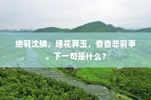 捉衿露肘的解释