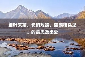 捉影捕风的解释