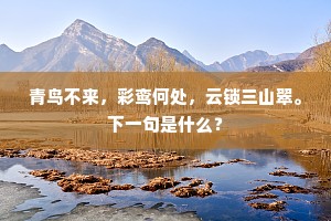 亦有少妇破瓜年，春闺无伴独婵娟。的意思及出处