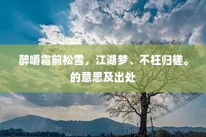 只恨无功书史籍，岂悲临老事戎轩。的解释