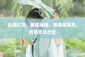 纵风止燎的成语解释