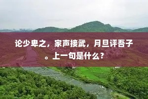 邹缨齐紫的释义