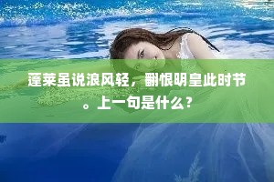 重光万里应相照，目断云霄信不传。出自哪首诗？