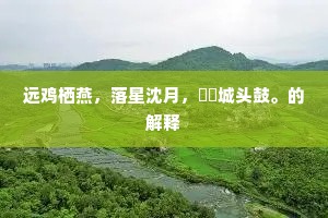 足不窥户的解释