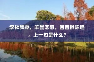 足不履影的解释