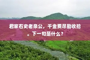 近有青衣连楚水，素浆还得类琼浆。出自哪首诗？