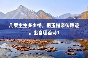 侬心犹道青春在，羞看飞蓬石镜中。全诗是什么？