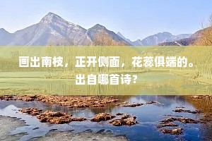 足趼舌敝的解释