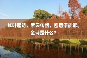 钻天打洞的解释