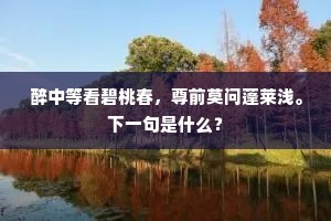 曦轮初转照仙扃，旋擘烟岚上窅冥。的释义