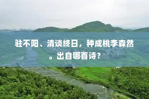 不得玄晖同指点，天涯苍翠漫青青。的释义