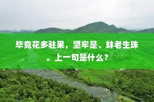 丘壑谁堪话碧鲜，静寻春谱认婵娟。全诗是什么？