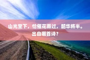 尊师贵道的释义
