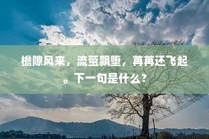 五云处处可怜许，明朝道向褒中去。的释义