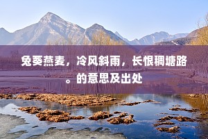 瑞风飒遝天光浅，瑶阙峨峨横露苑。的意思及出处