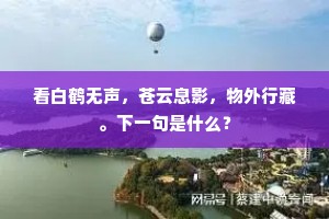 旧样钗篦浅淡衣，元和梳洗青黛眉。的解释