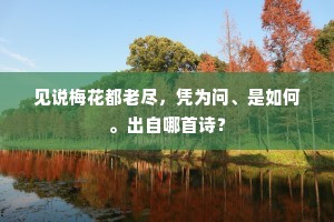 彤庭侍宴瑶池席，老兔春高桂宫白。的意思及出处