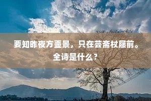 三清羽童来何迟，十二玉楼胡蝶飞。全诗是什么？