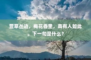 左右开弓的解释