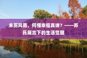 沙塞依稀落日边，寒宵魂梦怯山川。的释义