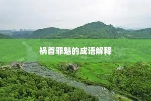 习非成是的释义