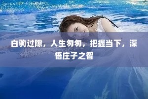 故国春风归去尽，何人堪寄一枝花。上一句是什么？