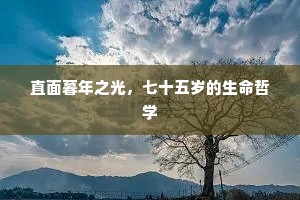 相机而动的解释