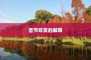 终南捷径的解释