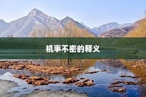 机事不密的释义
