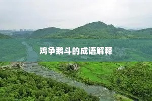 鸡争鹅斗的成语解释