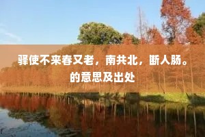 处处征胡人渐稀，山村寥落暮烟微。下一句是什么？