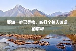 双鸥为底无心狎，白发从他绕鬓生。的解释
