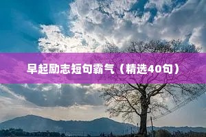 励志座右铭大全46793（精选8篇）