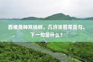青枫独映摇前浦，白鹭闲飞过远村。的解释