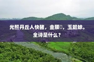 逐客临江空自悲，月明流水无已时。出自哪首诗？